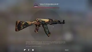 AWP | Duality && AK-47 | Anubis - Stickers Combo