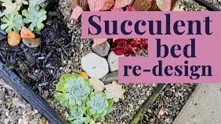Revamp Your Succulent Garden! | Stylish Succulent Planter Makeover