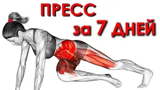 Как Убрать Жир на Животе и Сделать Идеальный Пресс за 7 Дней (Лучшие Упражнения для Тонуса Живота)