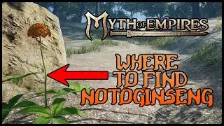 WHERE TO FIND NOTOGINSENG IN MYTH OF EMPIRES