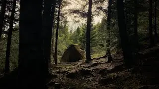 Iceland has no trees / lets find a forest