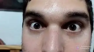 El show del horror