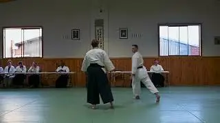 Fulori Smith Sensei - 44th Anniversary Demonstration