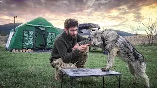 HOT TENT CAMP WITH STOVE IN THE WILD WITH THE WOLF!