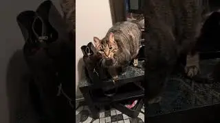 Главное что было хорошее самочувствие 😻😀