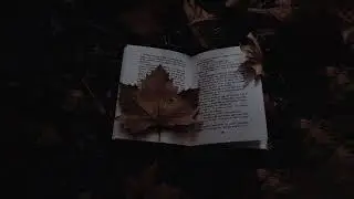 a dark academia playlist for reading the classics ( a playlist )