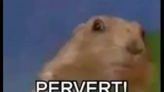 Dramatic Chipmunk