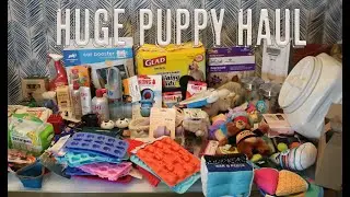 Puppy Haul: I SPENT OVER $2000 ON MY NEW PUPPY