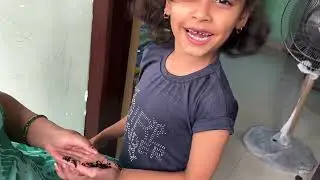 Mama o mama