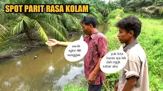 DRAINAGE OF THE DITCH LIKE HARVESTING FISH IN A POND