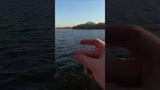 По щелчку зимы. Спуск воды на реке