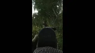 Scav (AI) New Behavior When Seeing Another Dead Scav 