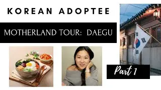 KOREAN ADOPTEE MOTHERLAND TOUR. RETURNING TO MY BIRTH CITY 29 YEARS AFTER ADOPTION