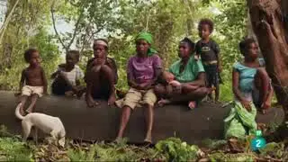 Indonesia Salvaje: El Mundo Perdido de Papúa - (DOCUMENTAL)