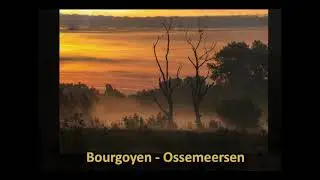 De Bourgoyen  - Ossemeersen