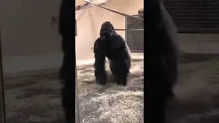 The perfect transition🤣🤣🤣🤣