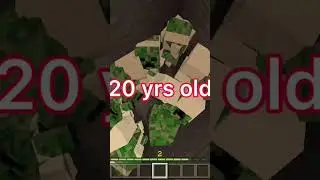 Minecraft traps at different ages (worlds smallest violin) #minecraft #shorts #worldssmallestviolin
