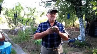 ВОПРОС -  ОТВЕТ  ПРО ВИНО 3     МЫТЬ ИЛИ НЕ МЫТЬ