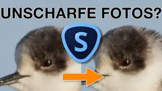 Unscharfe Fotos retten - Wie gut ist Topaz Sharpen AI in der Praxis?