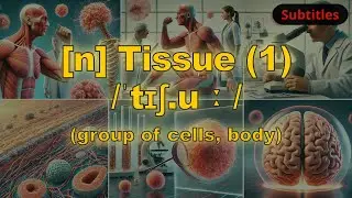 [n] Tissue meaning (group of cells, body) with 5 examples