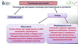 Лекция Селекция   Основные формы и методы ФДП