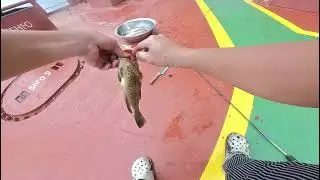 daming isda dito sa UAE.