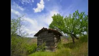 singul2010_640.wmv