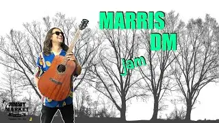 MARRIS DM Akustická gitara Mahagón+Magnetický Snímač+Ibanez T-80 - Jam JIMMY MARKET