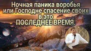 Ночная паника воробья или Господне спасение своих в это последнее время.