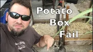 How to Grow 100 Pounds of Potatoes in 4 Square Feet / Part 3  Update Fail