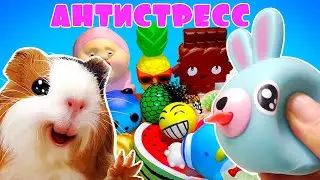 ДОСТАВУЧИЕ АНТИСТРЕССЫ - Бузя и Кузя Распаковка Антистрессов - Свинка Бузя Челлендж