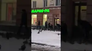 Дикие утки в Барнауле