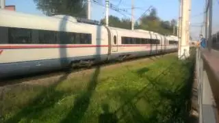 Сапсан