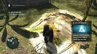 Did you know you could do this in AC Black Flag ?