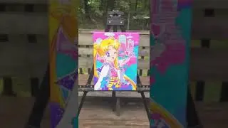 Sailor Moon painting I did