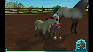 Star Stable Foals Day 2 Spring 2019