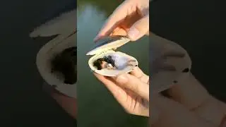 🤵🏻‍♀️Қыз баланың тәрбиесі аса маңызды.