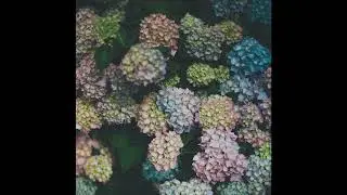 [FREE] J. Cole x Kendrick Lamar x Dr. Dre x Mac Miller x Isaiah Rashad x Logic Type Beat | 