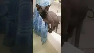 Будьте на стрёме, внимание, без расслабона.