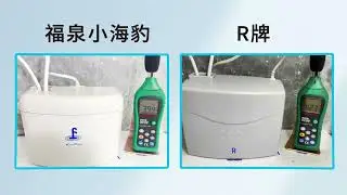 你聽到的聲音是真實的嗎？小海豹聲音實測