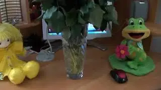 Учила жизнь меня. Создано мною - STaNik