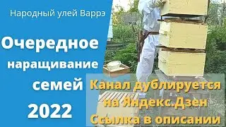 Народный улей Варрэ. Ульи битком. Очередное наращивание