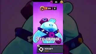 Сквик это Не сквик 
