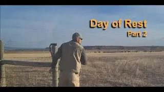 Day of Rest - Part 2