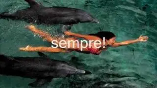 Video sull'amicizia