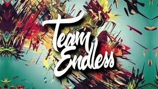 TEAM ENDLESS RC