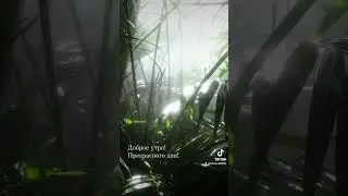 Доброе утро!