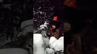 Ночной зимний лес в Якутии