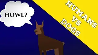 Humans vs Dogs  | Catholic Central Clip