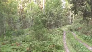 Кавид  и коп.